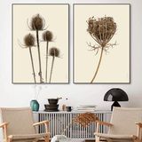Poster - Withered botanicals - LILJEBERGS