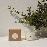 Candles - Juniper Berries Scented Soy Wax Candle 140 gr - CAROLA FRA I TRULLI