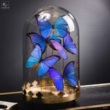 Objets de décoration - Découvrez nos objets pour votre ambiance bleu. - OBJET DE CURIOSITÉ