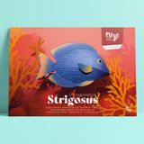 Children's decorative items - Strigosus - PLEGO