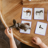 Jouets enfants - Mondy™️, 600 cartes Montessori - OBSERVE MONTESSORI