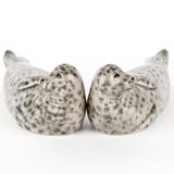 Decorative objects - Harbour Seal salt and pepper shaker - QUAIL DESIGNS EUROPE BV