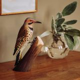 Objets de décoration - DecoBird Pic Flamboyant - WILDLIFE GARDEN