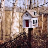 Accessoires de jardinage - Multiholk Nouvelle-Angleterre - WILDLIFE GARDEN