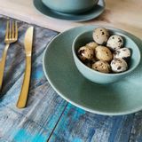 Everyday plates - P/cup tea 22 CL BOREALIS grey - TABLE PASSION / BASTIDE 1880