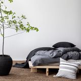 Bed linens - Organic cotton - Bedding - TELL ME MORE
