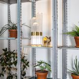 Lampes de table - cactus - PULPO