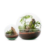 Objets de décoration - COLLECTION TERRARIUM - NATURALYS