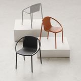 Chairs - RINGO Chair - UMBRA