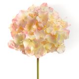 Floral decoration - HORTENSIA ALTONA H48 CR/RS - LOU DE CASTELLANE - artificial plants and flowers - LOU DE CASTELLANE
