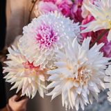 Floral decoration - AW23 - Tales of the unexpected - Dahlia bouquet - Artificial flowers and plants for life! - SILK-KA