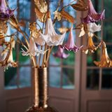Floral decoration - AW23 - Longing for the holidays - Datura - Artificial flowers and plants for life! - SILK-KA