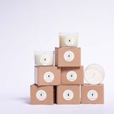 Candles - Citrus Grove fragrance candle in soy wax 140 g - CAROLA FRA I TRULLI