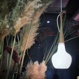 Suspensions - La Torche / 11.100 - RISPAL
