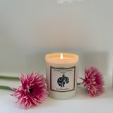 Decorative objects - LA BAYADÈRE - 100% VEGETABLE WAX SCENTED CANDLE - IVORY - UN SOIR A L'OPERA