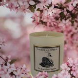 Decorative objects - SWAN LAKE - SCENTED CANDLE - 100% VEGETABLE WAX - IVORY - UN SOIR A L'OPERA