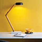 Decorative objects - HIPP Lamp - MR. WATTSON