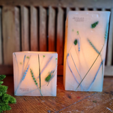 Decorative objects - Candle Photophore Square Walk in the Forest - LES ARTISANS CIRIERS BRUXELLOIS