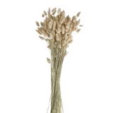 Floral decoration - Plandai artificial plants - POMAX