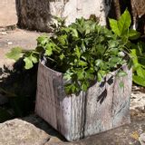 Homewear - Wood home storage boxes - MARON BOUILLIE