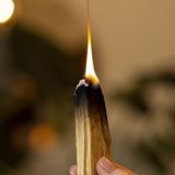 Home fragrances - PALO SANTO - CHAPPAL.CO