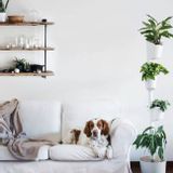 Autres objets connectés - Jardinière verticale smart - CITYSENS
