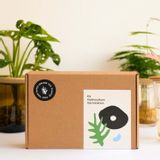 Caskets and boxes - Germination & Hydroculture Gift Set - PEPIN