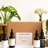 Accessoires de jardinage - Coffret soin des plantes - PEPIN