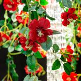 Floral decoration - Flower Power Wild Rose Chandelier - VG - VGNEWTREND
