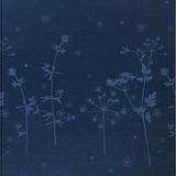 Plaids - Bloom - BIEDERLACK