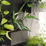 Decorative wall frescoes - Natural slate wall decor, with inlaid planters - LE TRÈFLE BLEU