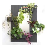 Window boxes - Rectangular natural slate mirror with 4 planters - LE TRÈFLE BLEU
