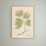 Cadres - Décoration murale. The Best of Nature / Lush and green - ABLO BLOMMAERT