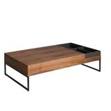 Coffee tables - Coffee table grey and walnut - ANGEL CERDÁ
