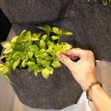 Floral decoration - CitySens Self-Watering Wall Planter with Textile Cover - CITYSENS