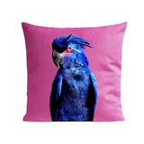 Fabric cushions - Punky Parrot Pillow - ARTPILO