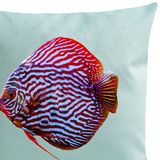 Fabric cushions - Mister Red Cushion - ARTPILO