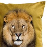 Fabric cushions - Lion King Cushion - ARTPILO