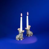 Design objects - Candle Holder / Hungry Hippos - DONKEY PRODUCTS