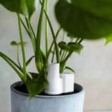 Objets design - Côte d'arrosage / Steam - DONKEY PRODUCTS