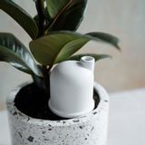 Objets design - Côte d'arrosage / Nuke - DONKEY PRODUCTS