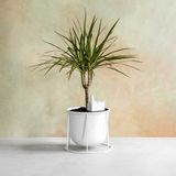 Objets design - Côte d'arrosage / Factory - DONKEY PRODUCTS