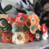 Objets de décoration - DÉCORATION / Papier & Porcelaine... - ALEX HACKETT