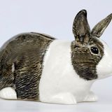 Children's decorative items - decorative accessories - Cat piggy bank - QUAIL DESIGNS EUROPE BV