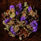 Café et thé - ALTAÏ CHAÏ - Adaptogènes / Anti-Stress - TEA TRIBES & CO.
