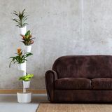 Vases - Self-Watering Vertical Planter - CITYSENS