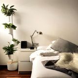 Vases - Vertical planter for 4 plants - CITYSENS