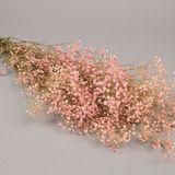 Floral decoration - Pink preserved panicle gypsophila H75cm - LE COMPTOIR.COM
