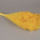 Floral decoration - Broom bloom dried bright yellow H50cm - LE COMPTOIR.COM