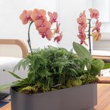 Decorative objects - Poli 4 Bottle Champagne Cooler - ST. JAMES